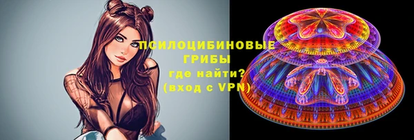 MDMA Новодвинск