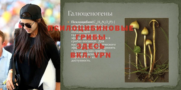 бошки Нефтекумск